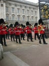 Changing The Guard At Buckingham Palace, London - Stock Image Royalty Free Stock Photo