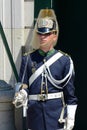 Changing of Guard in Lisbon, Portugal Royalty Free Stock Photo