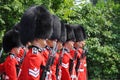 Changing of Guard in Ottawa, Canada Royalty Free Stock Photo