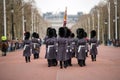 Changing the Guard parade, London Royalty Free Stock Photo