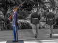 Changing of the guard at the Tomb of the Unknown Soldier at Arlington National Cemetery Royalty Free Stock Photo