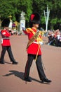 Changing the guards at Buckingham Palace Royalty Free Stock Photo