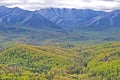 Changing seasons in the Great Smoky Mountains. Royalty Free Stock Photo