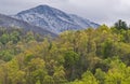 Changing seasons in the Great Smoky Mountains. Royalty Free Stock Photo