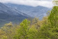 Changing seasons in the Great Smoky Mountains. Royalty Free Stock Photo