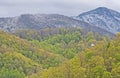 Changing seasons in the Great Smoky Mountains. Royalty Free Stock Photo