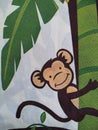 Chango monkey palm tree Royalty Free Stock Photo