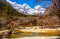 Changping valley scene of the Siguniang Mountain Royalty Free Stock Photo