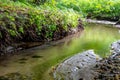 The channel of the forest stream