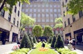Channel Gardens at Rockefeller Center