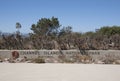 Channel Islands National Park