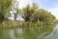 Channel landscape with waves in Danube Delta, Romania, on summer day