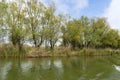 Channel landscape with waves in Danube Delta, Romania, on summer day