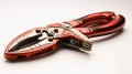 Channel Lock Pliers on white background Royalty Free Stock Photo