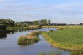 A channel with reed and willows next to a meadow with cows in holland