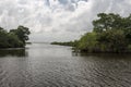 Channel surrounded by lush green trees and bushes in deep rural Louisiana on sunny day