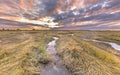 Channel in Tidal Marshland nature reserve Saeftinghe