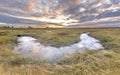 Channel in Tidal Marshland nature reserve Saeftinghe