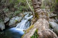 Chantara falls in the troodos mountains 5 Royalty Free Stock Photo