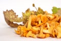 Chanterelle