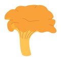 Chanterelle mushrooms. Hand drawn trendy flat style. Doodle of autumn forest harvest. Royalty Free Stock Photo