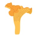 Chanterelle mushrooms. Hand drawn trendy flat style. Doodle of autumn forest harvest. Royalty Free Stock Photo