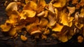 Chanterelle mashrooms, flat lay from above top view, AI generative