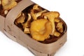 Chanterelle mushrooms basket Royalty Free Stock Photo