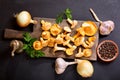 Chanterelle mushrooms with fresh vegetables for cooking Royalty Free Stock Photo