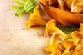 Chanterelle mushrooms, Raw wild chanterelles mushroom on rustic background. Organic Fresh chanterelle on a table