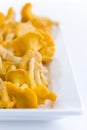 Chanterelles Royalty Free Stock Photo