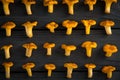 Raw yellow mushrooms chanterelles