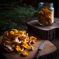 Chanterelles, delicious fresh orange forest mushrooms, close-up, healthy food Royalty Free Stock Photo