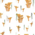 Chanterelles mushrooms autumn seamless pattern with forest wild mushrooms, fern and herbs.