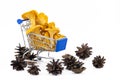 Chanterelles in a shopping cart Royalty Free Stock Photo