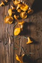 Chanterelles on vintage wooden background top view, healthy food on table mockup, orange mushrooms Royalty Free Stock Photo