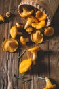 Chanterelles on vintage wooden background top view, healthy food on table mockup, orange mushrooms isolated on rustic country Royalty Free Stock Photo