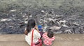 Chao Phraya River, Thailand, the mother and daughter are feeding the fish in the temple area as a merit-making of Thai people