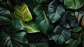 chaos abstract jungle leaves