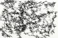 Chaos of black and white streaks making a pattern Royalty Free Stock Photo