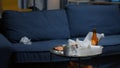 Chaos in empty living room with food leftover and bottle of beer on table Royalty Free Stock Photo