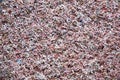 Chaotic Pencil Shavings Closeup Royalty Free Stock Photo