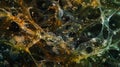 A chaotic tangled mass of green and brown algae extending in all directions and engulfing other aquatic plants in its