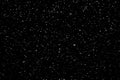 Chaotic white star bokeh on a isolated black background. falling blurry bokeh snow overlay, starry sky. white spots on black Royalty Free Stock Photo