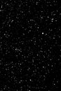 Chaotic white star bokeh on a isolated black background. falling blurry bokeh snow overlay, starry sky. white spots on black Royalty Free Stock Photo