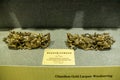 The Chaozhou area during the Qing Dynasty with the precious wood made gold carvings, called Dragon peony flower corner.