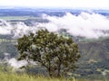 Chapada dos Guimaraes Royalty Free Stock Photo