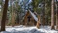 Chapel at Hartwick Pines SP, MI Royalty Free Stock Photo