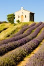 Chapel with lavender field Royalty Free Stock Photo