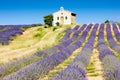 Chapel with lavender field Royalty Free Stock Photo